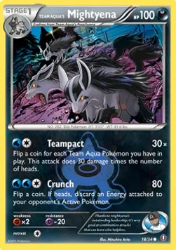 Team Aqua's Mightyena