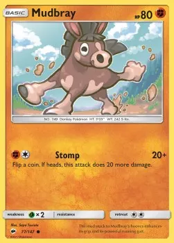 Mudbray