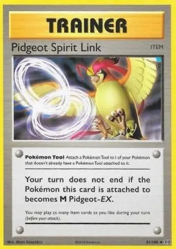 Pidgeot Spirit Link