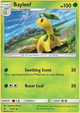 Bayleef