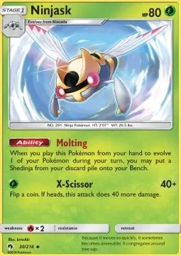 Ninjask