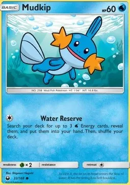 Mudkip