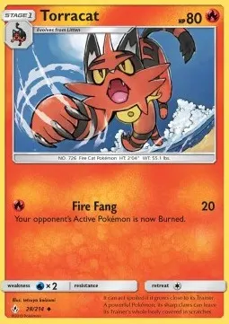 Torracat