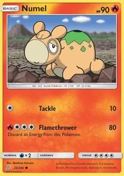 Numel