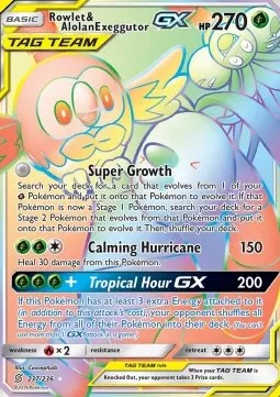 Rowlet & Alolan exeggutor GX