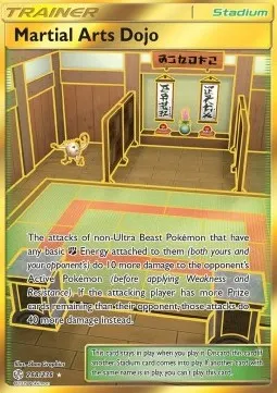Martial Arts Dojo