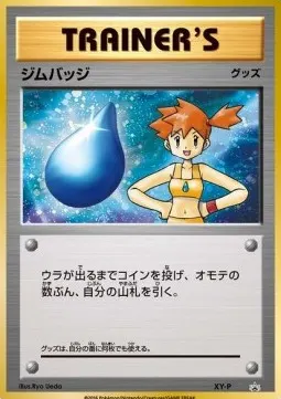 Gym Badge