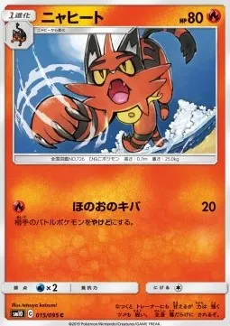 Torracat