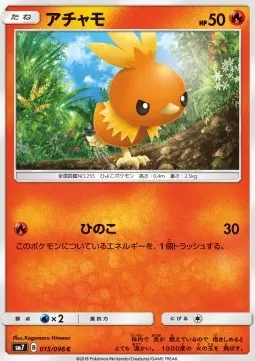 Torchic
