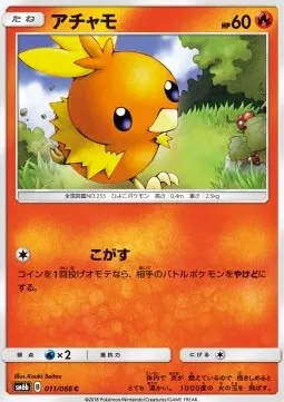 Torchic
