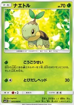 Turtwig