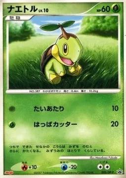 Turtwig Lv.10