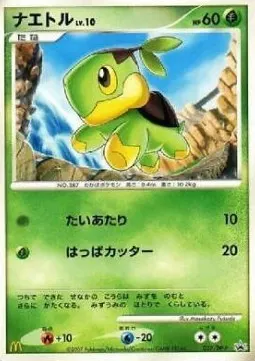 Turtwig Lv.10