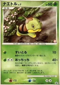 Turtwig Lv.7