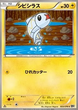 Tynamo