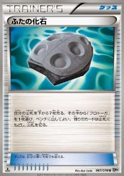 Cover Fossil