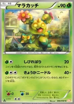 Maractus