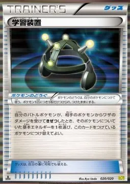 Exp. Share