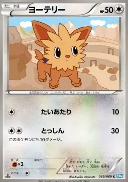 Lillipup