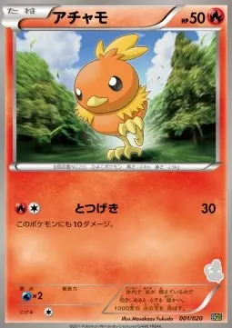 Torchic