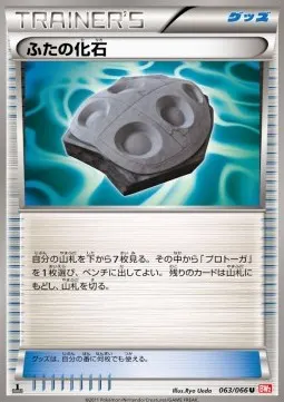 Cover Fossil