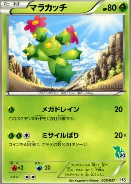 Maractus