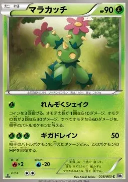 Maractus