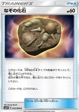 Unidentified Fossil