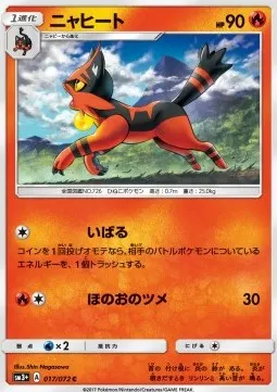 Torracat