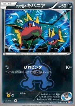 Team Aqua's Carvanha