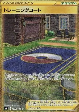 Training Court