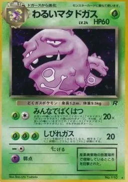 Dark Weezing Lv.24