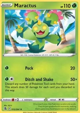 Maractus