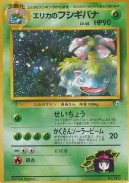 Erika's Venusaur Lv.45