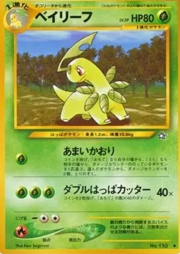 Bayleef LV.29