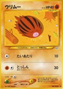 Swinub Lv.10