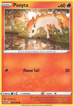 Ponyta