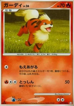 Growlithe Lv.26