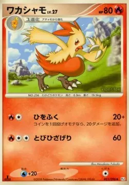 Combusken Lv.27