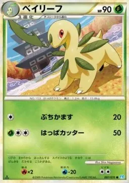 Bayleef