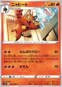 Torracat