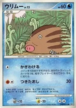 Swinub Lv.13
