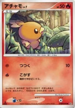Torchic Lv.7