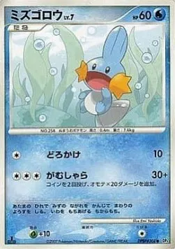 Mudkip Lv.7