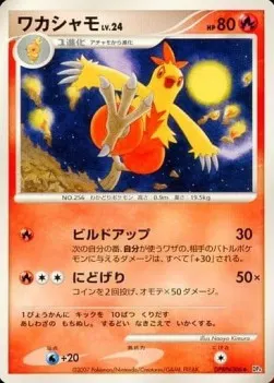 Combusken Lv.24
