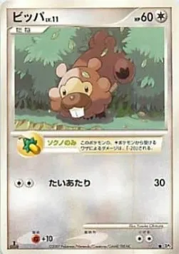Bidoof Lv.11