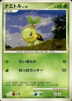 Turtwig Lv.10