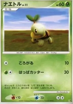 Turtwig Lv.11