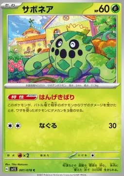 Cacnea