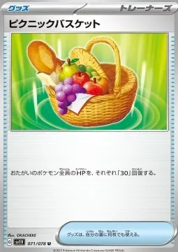 Picnic Basket
